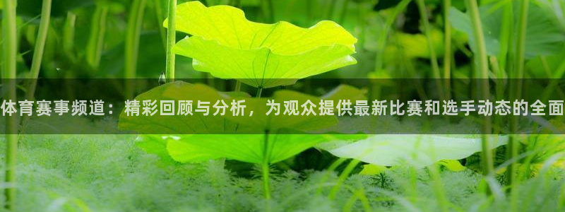 体育赛事频道：精彩回顾与分析，为观众提供最新比赛和选手动态的全面